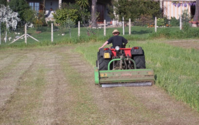 Associazioni Fondiarie per il recupero di terreni abbandonati